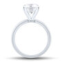 Solitaire Three-Row Semi-Mount Engagement Ring in 14K White Gold &#40;Setting Only&#41;