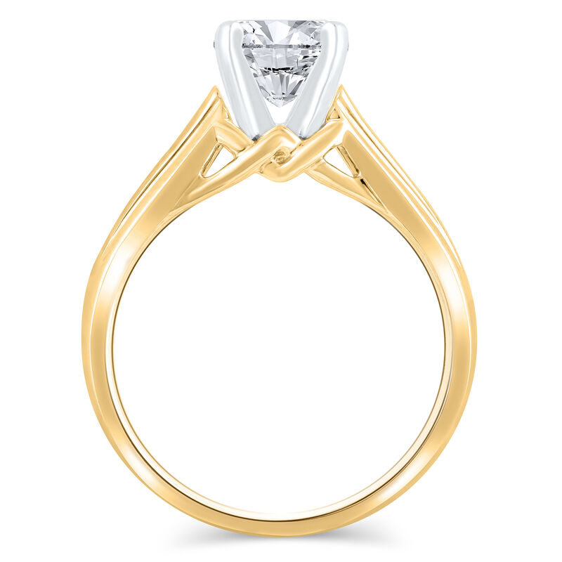 Wide-Shank Semi-Mount Engagement Ring in 14K Yellow Gold &#40;Setting Only&#41;