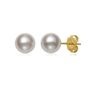 Ayoka Cultured Pearl Stud Earrings in 14K Yellow Gold, 6MM
