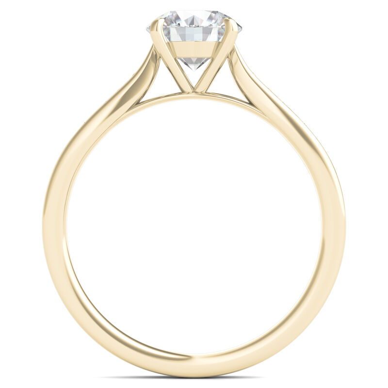 Round Diamond Engagement Ring in 14K Yellow Gold &#40;1 1/4 ct. tw.&#41;