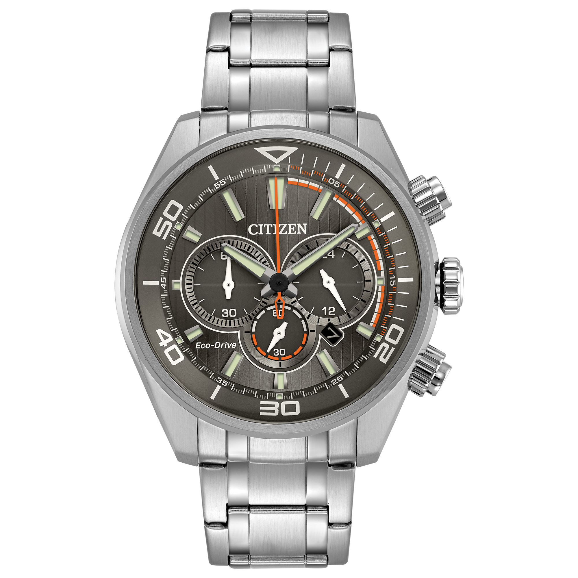 Citizen chandler hot sale stainless steel